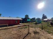 Top Linares Top Linares