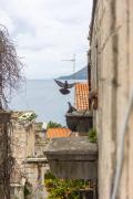 Top Korčula