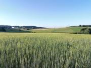 Top Selbach