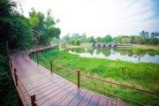 Top Ban Khlong Kadon (1)