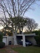 Cozy Cottage with Garden in Cape Town