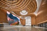 Top Zhaoqing