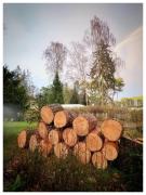 The House Stiller Grund