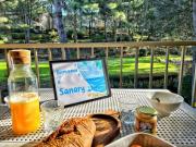 "Le Laurier du Vallon" à Sanary, Piscine, Plage, Climatisation