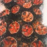 Top Savelletri di Fasano