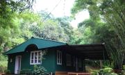 Verdant Hillock