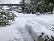 Top Schonwald im Schwarzwald