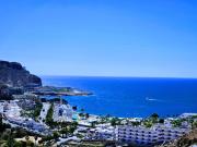 Canary dreams apartment