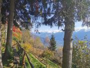 Top Montemezzo