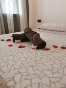 Top Lloret de Mar