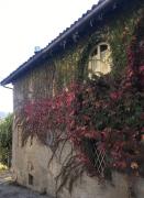 Top Cremolino