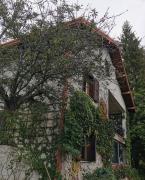 Top Montemezzo