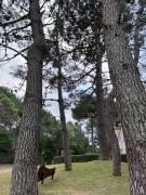 Casa Juno Pinamar Norte Casa Juno Pinamar Norte