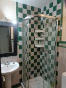 Flamencos del cerrado