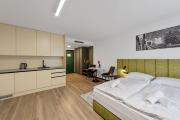 Studio Apartments Lenuzzi Zagreb