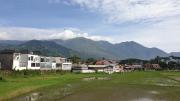 Top Garut