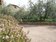 Top Orvieto