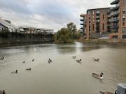Luxury Apartment in Dartford