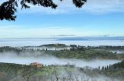 Top Volterra