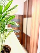 Bratislava City Center Bratislava City Center