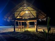 Delft Jungle Beachfront Villa