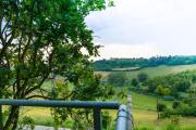 Al Cedro Terrazza sul Monferrato con Idromassaggio