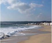 Top Barbate