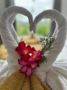 Pousada Hércules Beach Paradise