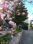 Top Alberobello