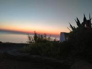 Top Pantelleria