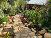 Top Wentworth Falls