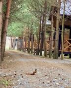 Family Resort Family Resort