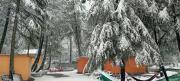 Top Kasol
