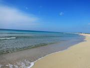 Villa NUVOLA da 8 a 11 posti