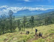 Top Tetebatu Top Tetebatu