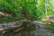 Top Berkeley Springs
