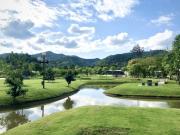 Tree Scape Mountain View Resort