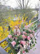 Top Neuilly-Plaisance