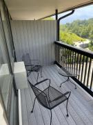 Top Blowing Rock