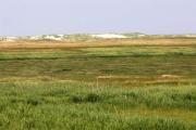 Top Sankt Peter-Ording