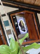 Top San Agustín Top San Agustín