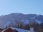 Top Ramsau am Dachstein