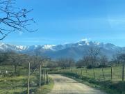 Top Madrigal de la Vera