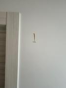 Top Pasian di Prato