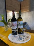 Top Stronie Śląskie Top Stronie Śląskie