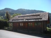 Top Le Grand-Bornand