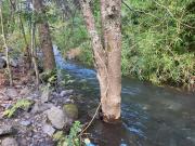 Top Pucón Top Pucón