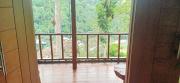 Top Bukit Lawang Top Bukit Lawang