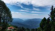 Top Darjeeling