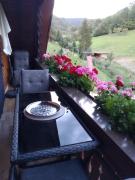 Top Oberharmersbach